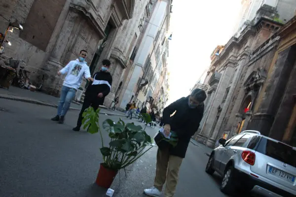 Pop Gardening s Giulií Matterou